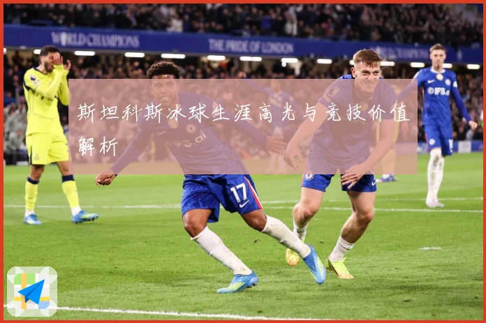 斯坦科斯冰球生涯高光与竞技价值解析